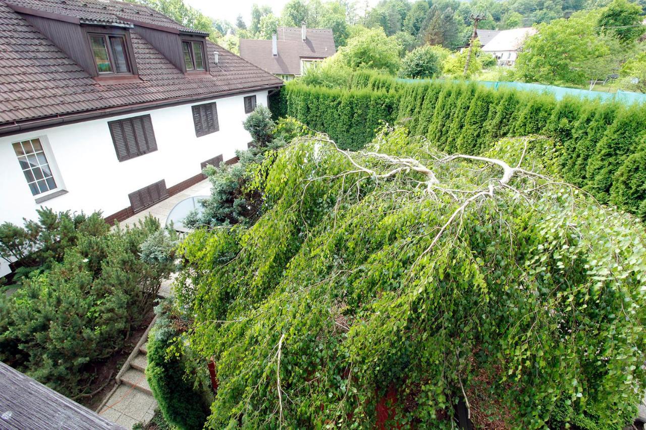 Vily Jedličí Frydlant nad Ostravici Exterior foto